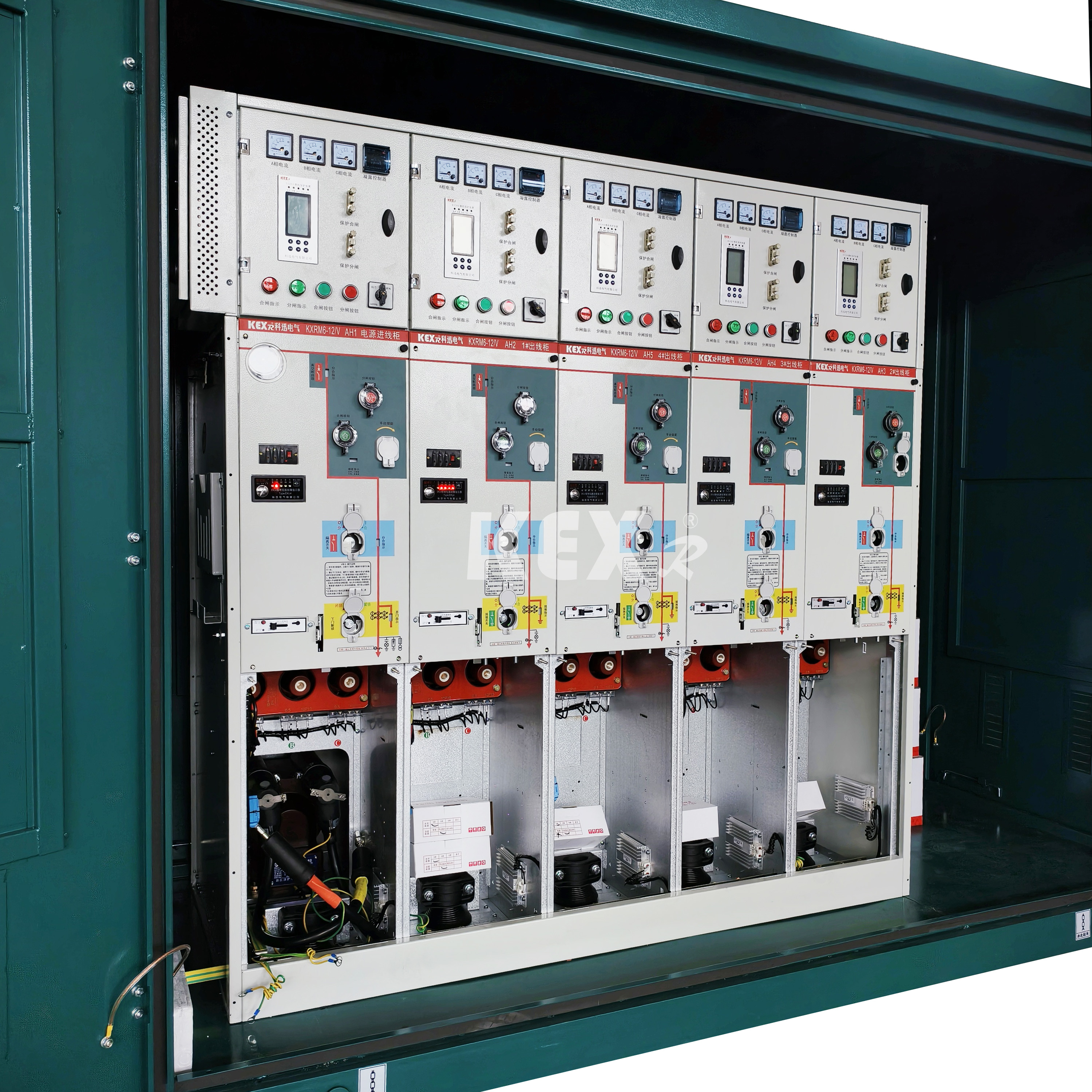 ring network ဗီဒိုအမျိုးအစားများ